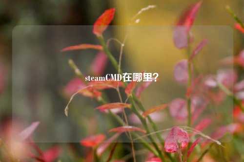 steamCMD在哪里?