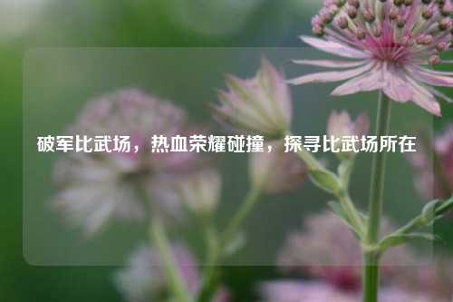 破军比武场,热血荣耀碰撞,探寻比武场所在