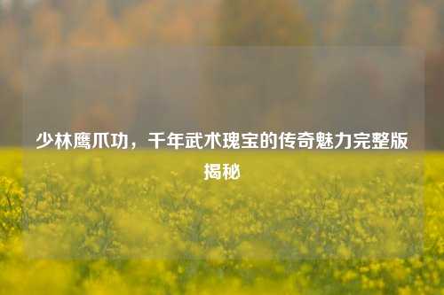 少林鹰爪功,千年武术瑰宝的传奇魅力完整版揭秘