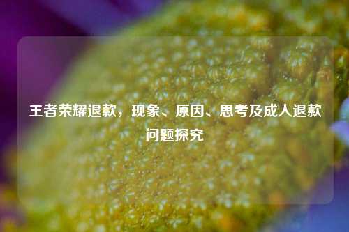 王者荣耀退款,现象、原因、思考及成人退款问题探究