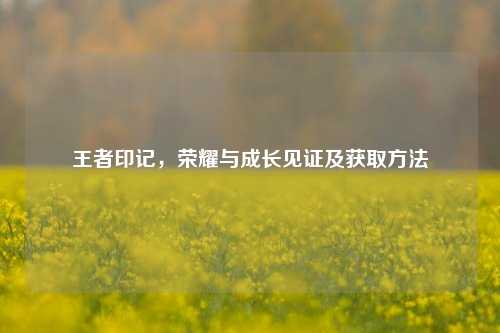 王者印记,荣耀与成长见证及获取方法