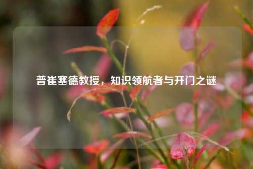 普崔塞德教授,知识领航者与开门之谜