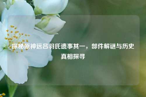 探秘原神远吕羽氏遗事其一，部件解谜与历史真相探寻