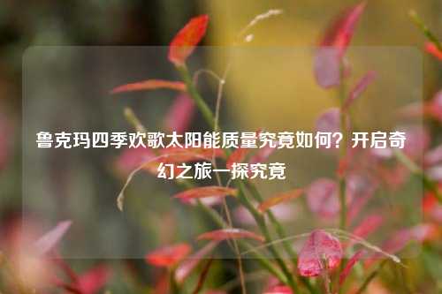 鲁克玛四季欢歌太阳能质量究竟如何?开启奇幻之旅一探究竟