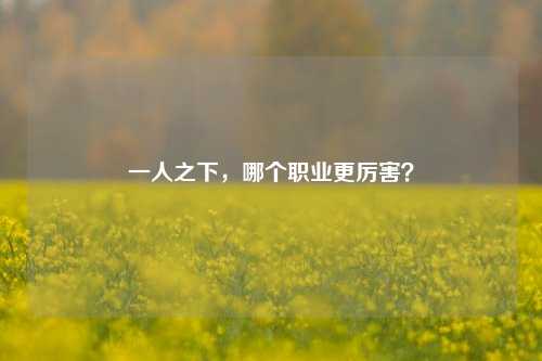 一人之下,哪个职业更厉害?