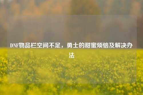 DNF物品栏空间不足，勇士的甜蜜烦恼及解决办法