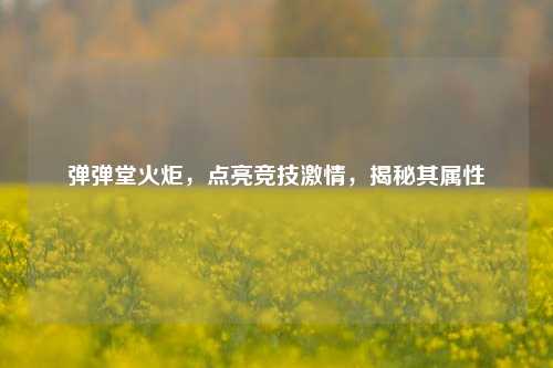 弹弹堂火炬，点亮竞技激情，揭秘其属性