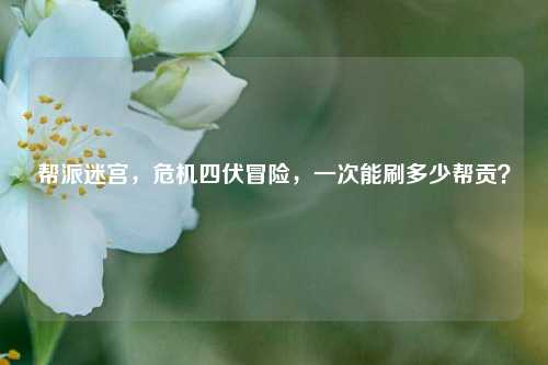 帮派迷宫,危机四伏冒险,一次能刷多少帮贡?
