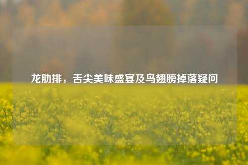 龙肋排,舌尖美味盛宴及鸟翅膀掉落疑问