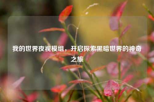 我的世界夜视模组，开启探索黑暗世界的神奇之旅