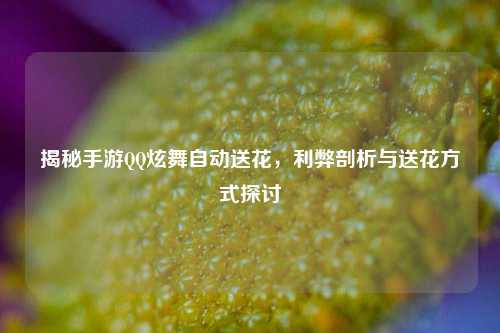 揭秘手游QQ炫舞自动送花,利弊剖析与送花方式探讨