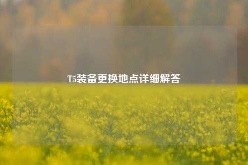 T5装备更换地点详细解答