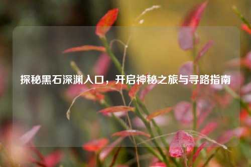 探秘黑石深渊入口，开启神秘之旅与寻路指南