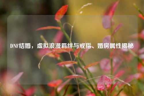 DNF结婚,虚拟浪漫羁绊与戒指、婚房属性揭秘