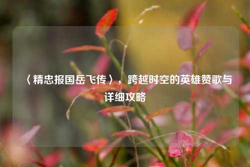 〈精忠报国岳飞传〉,跨越时空的英雄赞歌与详细攻略