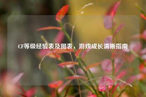 CF等级经验表及图表,游戏成长清晰指南