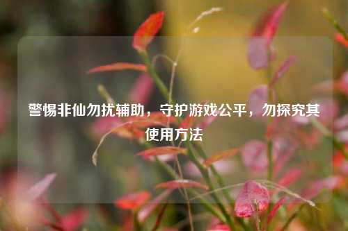 警惕非仙勿扰辅助,守护游戏公平,勿探究其使用方法