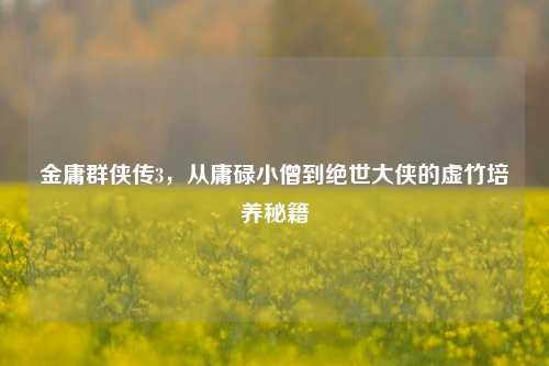 金庸群侠传3，从庸碌小僧到绝世大侠的虚竹培养秘籍