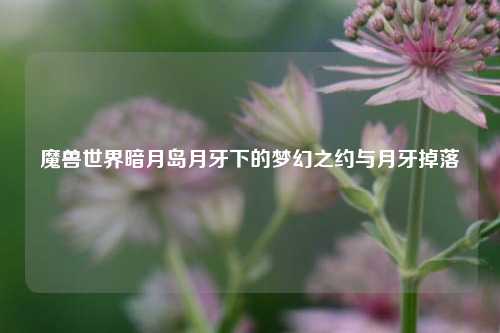 魔兽世界暗月岛月牙下的梦幻之约与月牙掉落