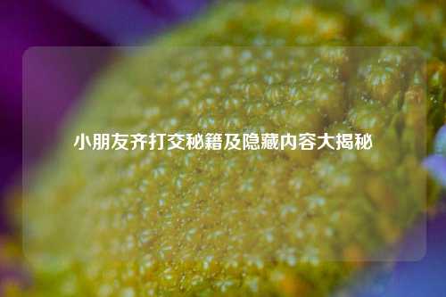 小朋友齐打交秘籍及隐藏内容大揭秘