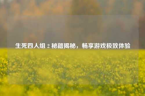 生死四人组 2 秘籍揭秘,畅享游戏极致体验