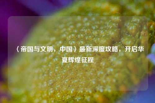 〈帝国与文明,中国〉最新深度攻略,开启华夏辉煌征程