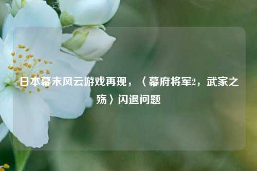 日本幕末风云游戏再现，〈幕府将军2，武家之殇〉闪退问题