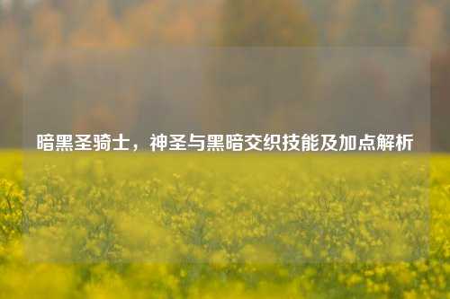 暗黑圣骑士，神圣与黑暗交织技能及加点解析
