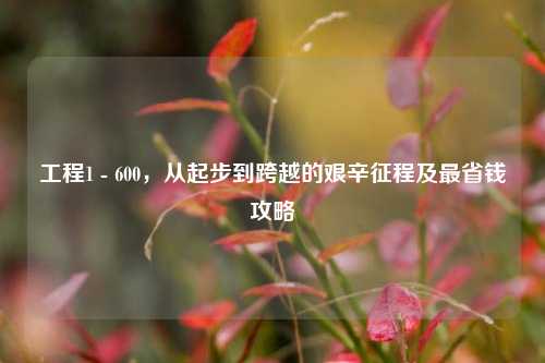 工程1 - 600,从起步到跨越的艰辛征程及最省钱攻略