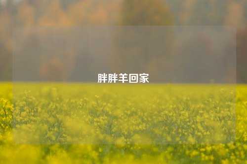 胖胖羊回家