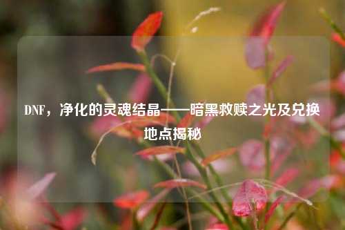 DNF，净化的灵魂结晶——暗黑救赎之光及兑换地点揭秘