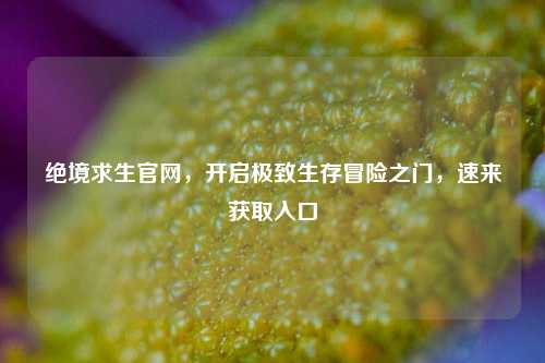 绝境求生官网，开启极致生存冒险之门，速来获取入口