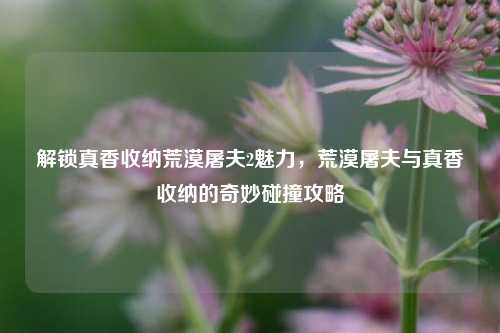 解锁真香收纳荒漠屠夫2魅力,荒漠屠夫与真香收纳的奇妙碰撞攻略