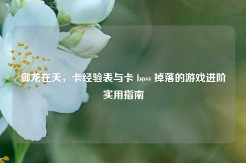 御龙在天，卡经验表与卡 boss 掉落的游戏进阶实用指南