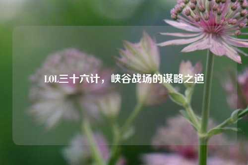 LOL三十六计,峡谷战场的谋略之道