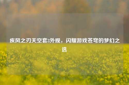 疾风之刃天空套3外观,闪耀游戏苍穹的梦幻之选
