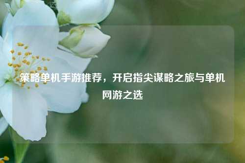 策略单机手游推荐,开启指尖谋略之旅与单机网游之选