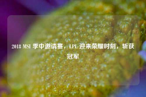 2018 MSI 季中邀请赛，LPL 迎来荣耀时刻，斩获冠军