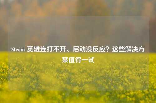 Steam 英雄连打不开、启动没反应?这些解决方案值得一试