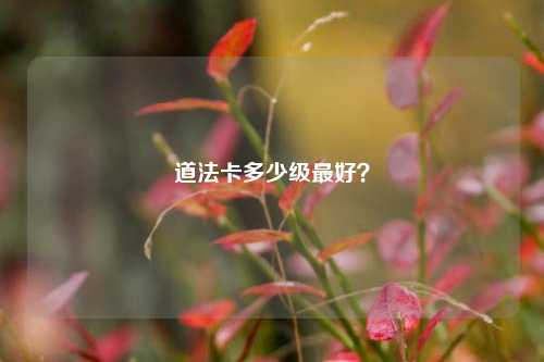 道法卡多少级最好？