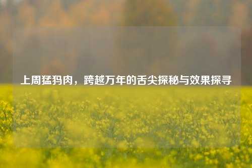 上周猛犸肉,跨越万年的舌尖探秘与效果探寻