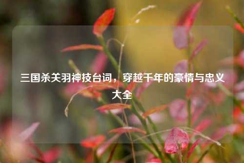 三国杀关羽神技台词,穿越千年的豪情与忠义大全