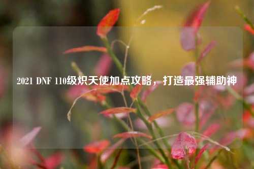 2021 DNF 110级炽天使加点攻略,打造最强辅助神