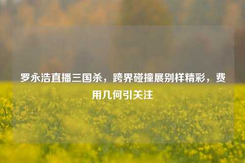 罗永浩直播三国杀,跨界碰撞展别样精彩,费用几何引关注