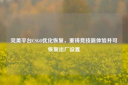 完美平台CSGO优化恢复，重铸竞技新体验并可恢复出厂设置