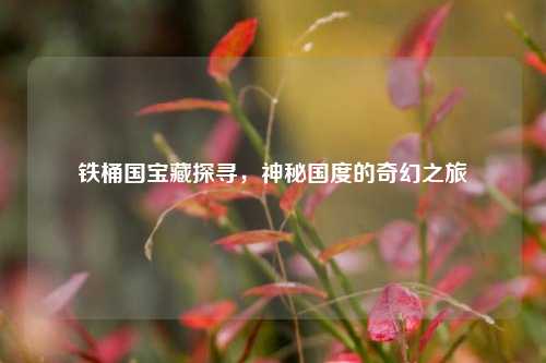 铁桶国宝藏探寻,神秘国度的奇幻之旅