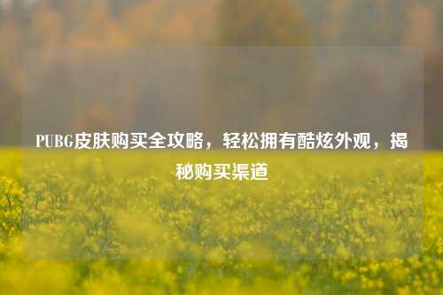 PUBG皮肤购买全攻略，轻松拥有酷炫外观，揭秘购买渠道