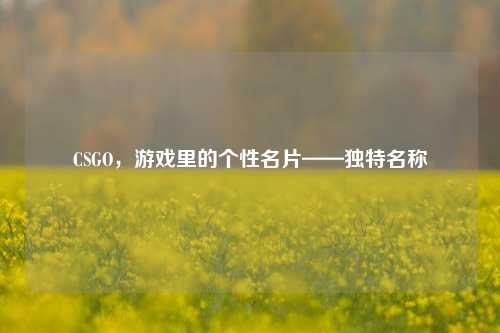 CSGO,游戏里的个性名片——独特名称