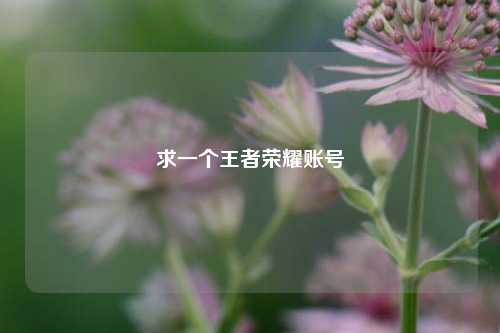 求一个王者荣耀账号
