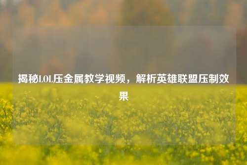 揭秘LOL压金属教学视频,解析英雄联盟压制效果